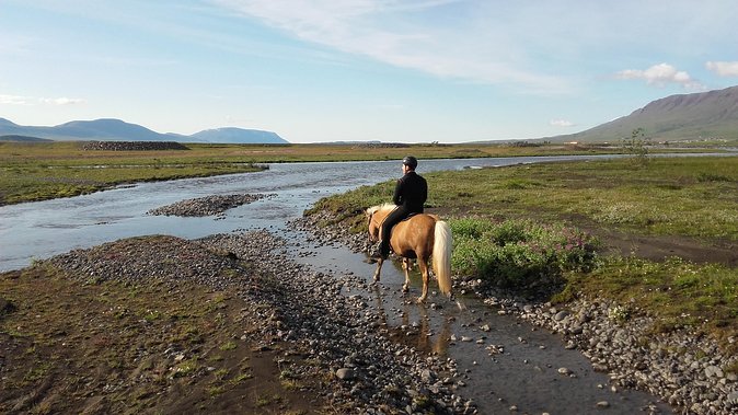 Private 3-Hour Horseback Riding Tour - Key points to know before you book