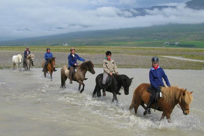 Private 3-Hour Horseback Riding Tour - What the three-hour ride is really like