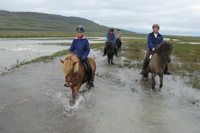 Private 3-Hour Horseback Riding Tour - Weather, equipment, and comfort