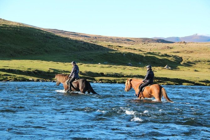 Private 3-Hour Horseback Riding Tour - What the private format is worth at $230.45