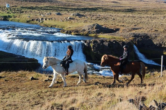 Private 3-Hour Horseback Riding Tour - Who should book this ride