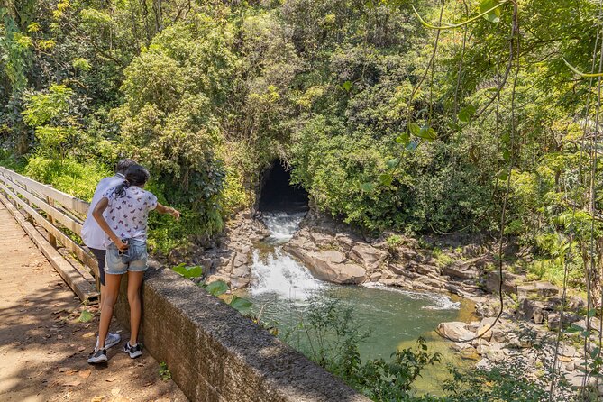Private - All Inclusive Big Island Volcano & Waterfalls Tour - Lunch on the Hilo coast