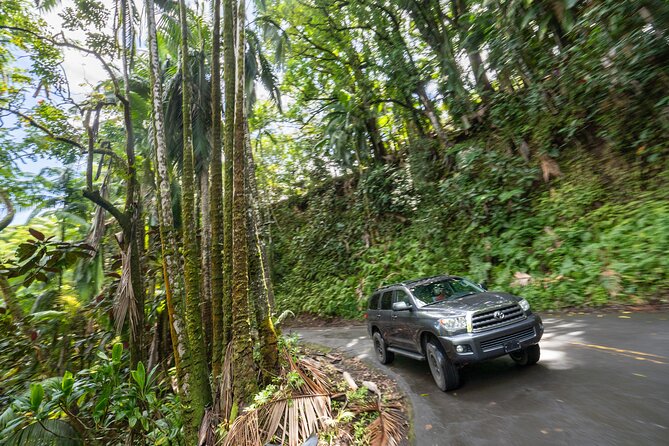Private - All Inclusive Big Island Volcano & Waterfalls Tour - Dinner in Volcano and the long ride home