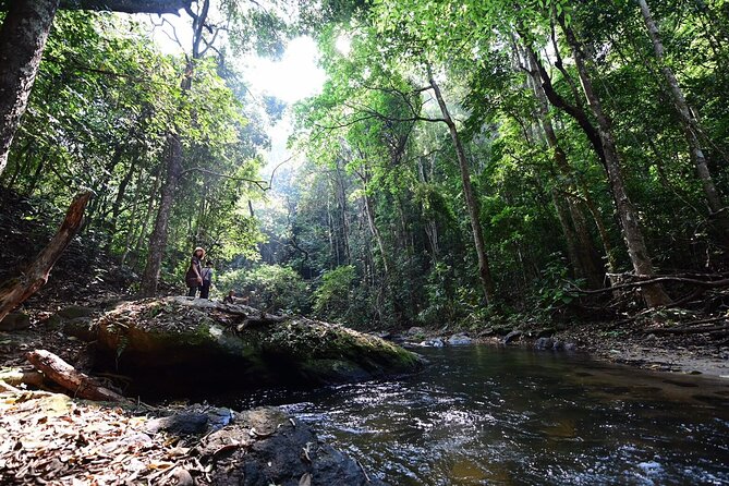 Private All-Inclusive Doi Inthanon & Pha Dok Siew Waterfall Tour - Doi Inthanon’s summit is more about atmosphere than views