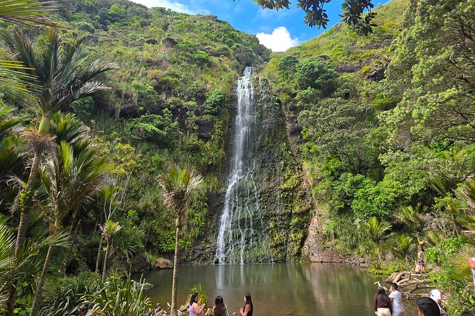Private Auckland West Coast Tour Piha Beach and Karekare Falls - Key Points at a Glance