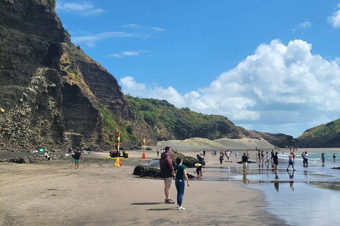 Private Auckland West Coast Tour Piha Beach and Karekare Falls - Guides Add More Than a Drive