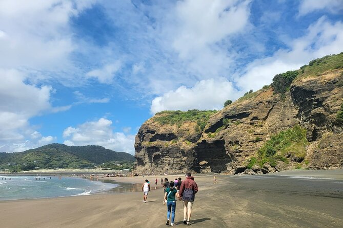 Private Auckland West Coast Tour Piha Beach and Karekare Falls - Who Will Get the Most From This Tour