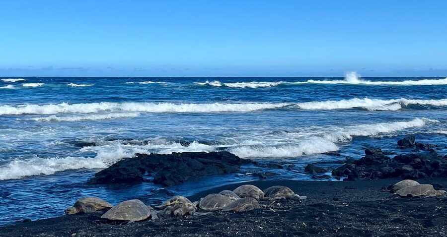 Private Big Island Tour:Coffee, Beaches,Volcanos & Waterfall - Malasadas at Punaluʻu Bakery