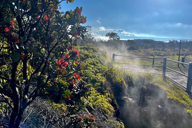 Private Big Island Tour: Coffee, Beaches, Volcanos, Waterfalls - Hilo adds gardens, bay views, and local flavor