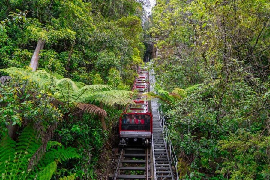 Private Blue Mountains, Scenic World & Wentworth Falls Tour - Transport, comfort, and what to pack