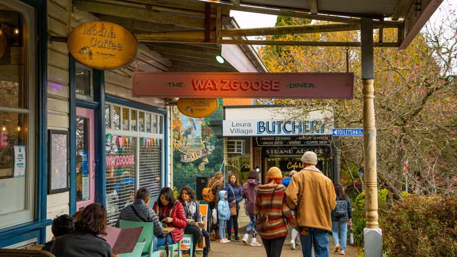 Private Blue Mountains, Scenic World & Wentworth Falls Tour - What the guide adds to the experience