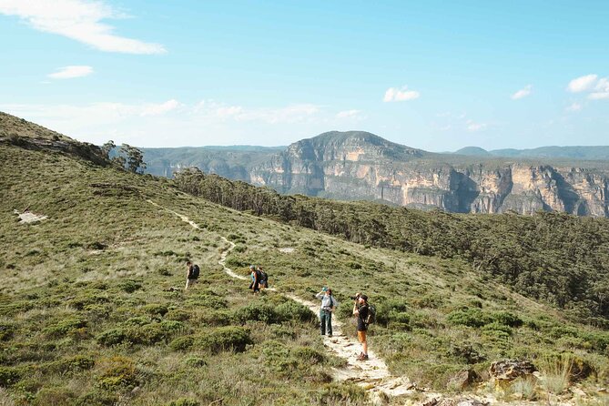 Private Blue Mountains Tour | Waterfalls, Koalas & Views - Featherdale starts the day with Australian wildlife