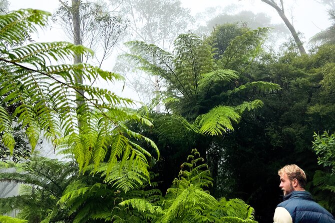 Private Blue Mountains Tour | Waterfalls, Koalas & Views - The Three Sisters are essential, but expect a short stop