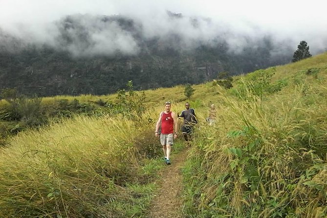 Private Breathtaking Koroyanitu Half Day Waterfall Hike - Key points to know before booking