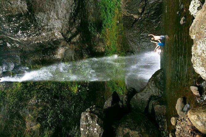 Private Breathtaking Koroyanitu Half Day Waterfall Hike - Peni’s role makes the day personal