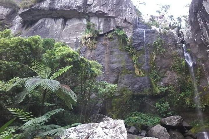 Private Breathtaking Koroyanitu Half Day Waterfall Hike - Koroyanitu Heritage Park and the walk to the waterfall