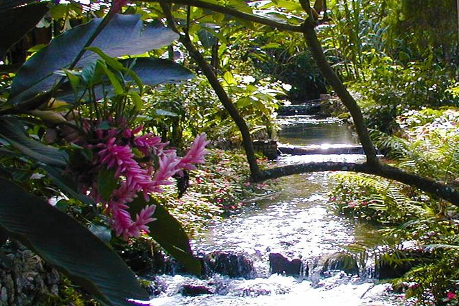 Private Combo Tour From Ocho Rios To Blue Hole & Konoko Falls - What the $100 Price Really Covers