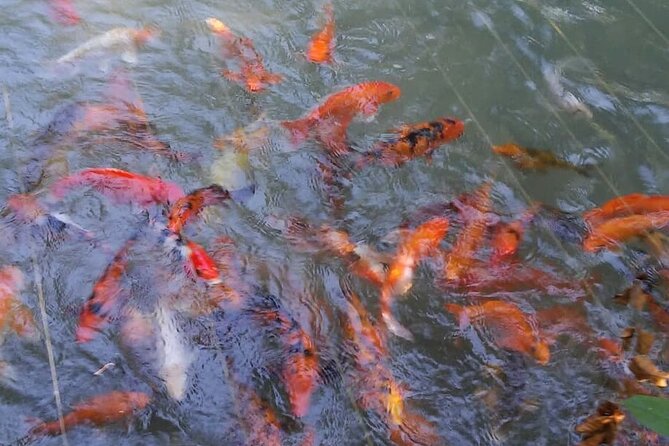 Private Combo Tour From Ocho Rios To Blue Hole & Konoko Falls - Who Will Get the Most From This Tour