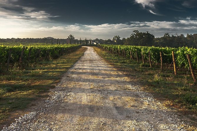 Private Customizable Niagara Wine, Beer, and Spirits Day Tour - Why a private Niagara tour makes sense