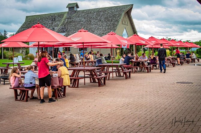 Private Customizable Niagara Wine, Beer, and Spirits Day Tour - Who will get the most from this tour