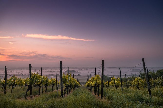 Private Customizable Niagara Wine, Beer, and Spirits Day Tour - Building a route around your taste