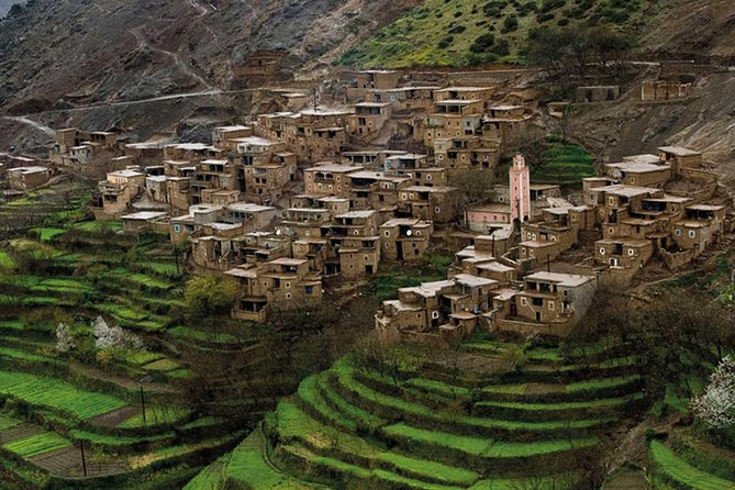 Private Day Atlas Mountains Waterfalls Ourika Berber villages - Key points to know before booking