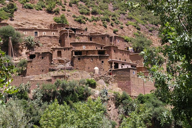 Private Day Atlas Mountains Waterfalls Ourika Berber villages - The argan oil cooperative stop