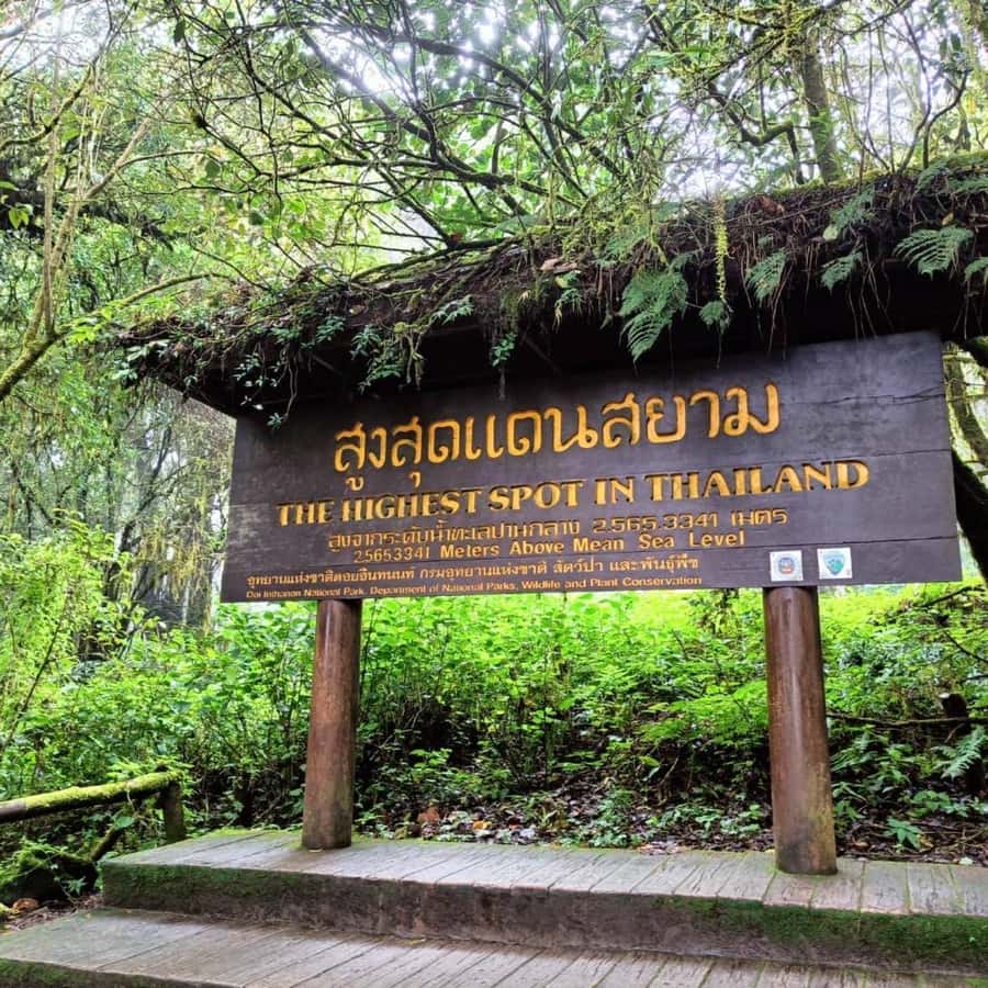 Private Day Tour Doi Inthanon With Mae Ya Waterfall - Reaching Thailand’s highest point