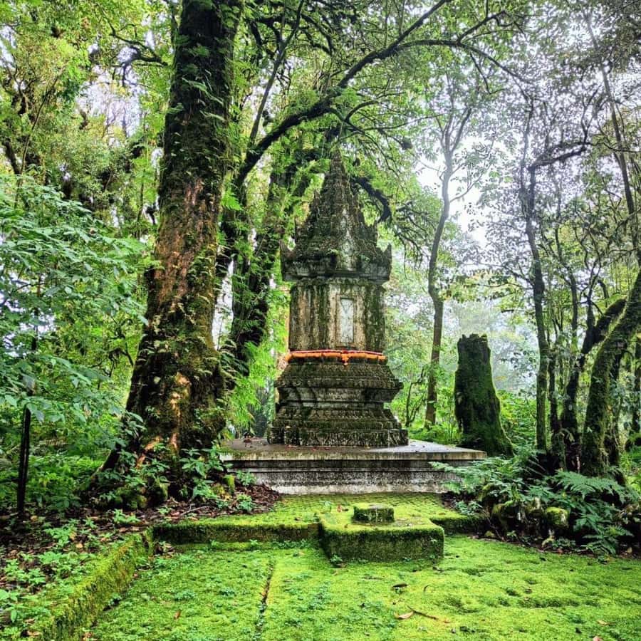 Private Day Tour Doi Inthanon With Mae Ya Waterfall - The King and Queen pagodas