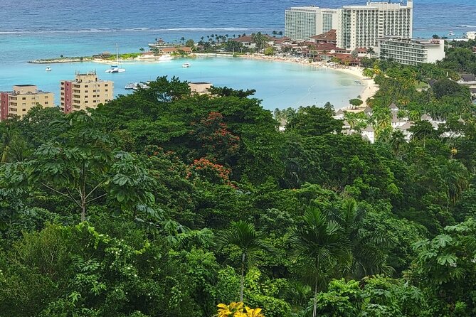 Private Dunn's River Falls, Ocho Rios Sightseeing and shopping - Fitness, comfort, and timing