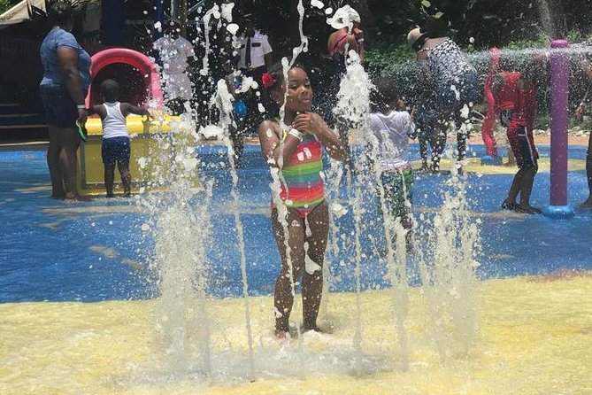 [PRIVATE] Dunn's River Falls with Entrance Fees - Lunch, jerk chicken, and shopping in Ocho Rios