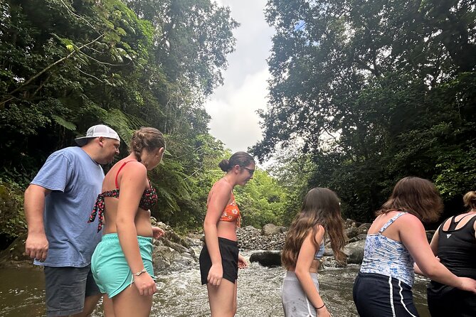 Private El Yunque Tour to Waterslide and Waterfalls - The rainforest walk and river adventure