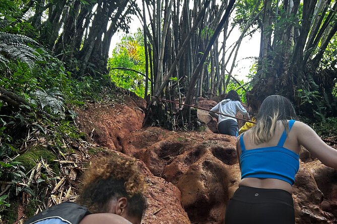 Private El Yunque Tour to Waterslide and Waterfalls - Safety rules and what to bring