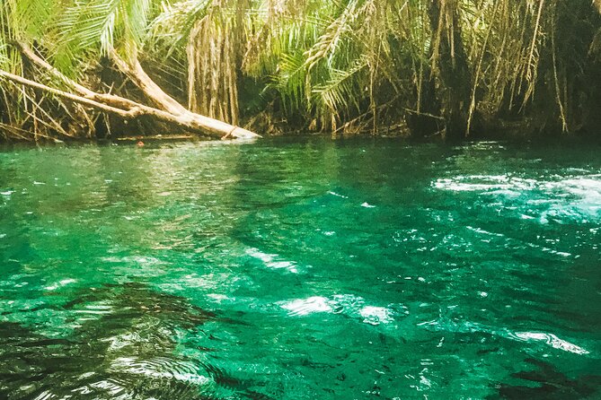 Private Full-Day Materuni Waterfalls and Kikuletwa Hotspring - Five things to know before booking