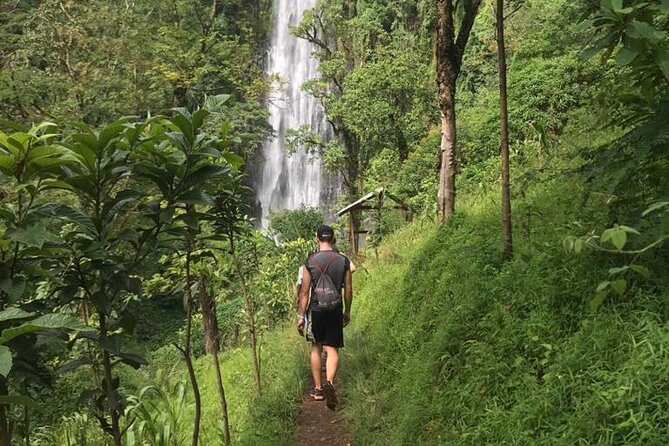 Private Full-Day Materuni Waterfalls and Kikuletwa Hotspring - Why this Arusha day trip works