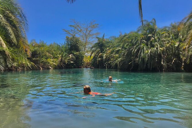 Private Full-Day Materuni Waterfalls and Kikuletwa Hotspring - What the strongest praise tells you