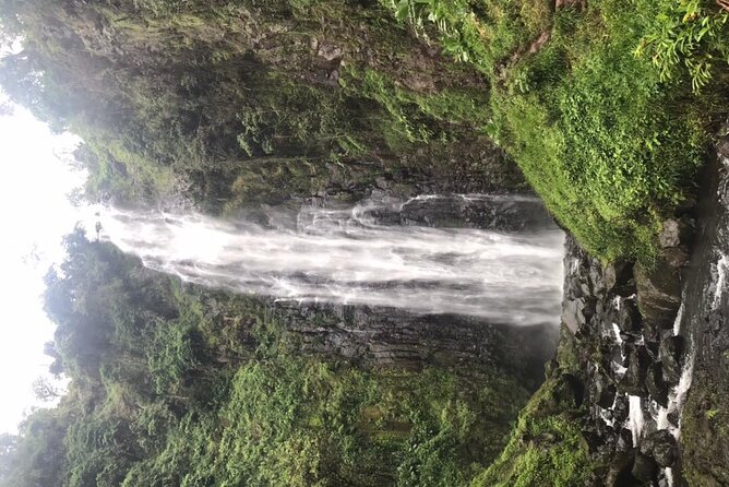 Private Full-Day Materuni Waterfalls and Kikuletwa Hotspring - Should you book the Materuni and Kikuletwa day?