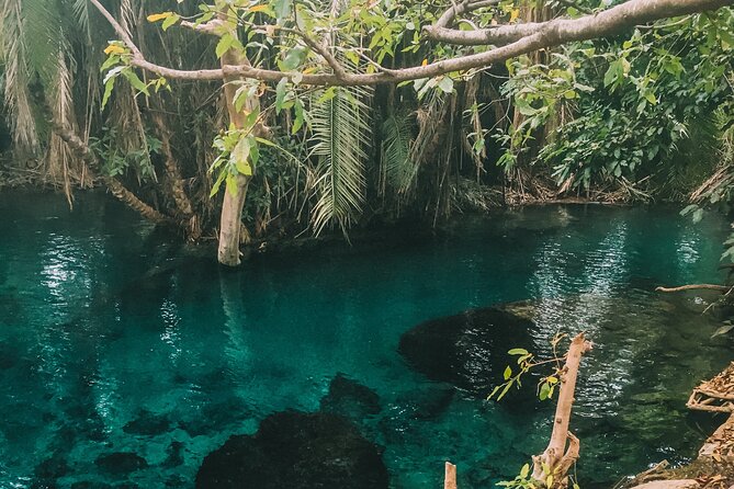 Private Full-Day Materuni Waterfalls and Kikuletwa Hotspring - Materuni Waterfalls and the first short hike