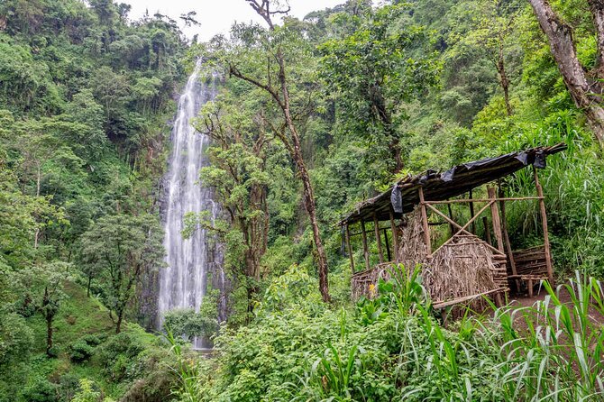 Private Full-Day Trip to Materuni Waterfalls - The guides: Alpha, Samson, Sam, and Jerry