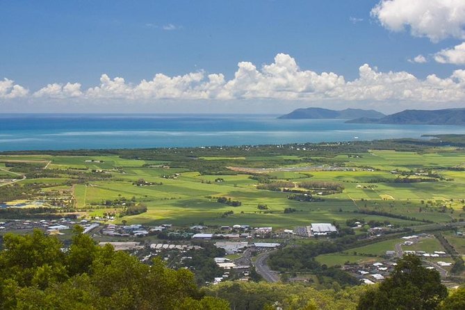 Private Half Day Tour: World Heritage Rainforest & Waterfall - Henry Ross Lookout closes the loop