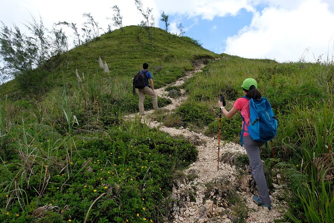 Private Kawasan Falls and Osmena Peak Day Trip from Cebu City - Osmena Peak and the 20-minute climb