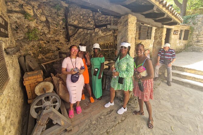 Private Krka Waterfalls with Wine and Prosciutto Shore Excursion - What the guide adds, and where the tour can fall short