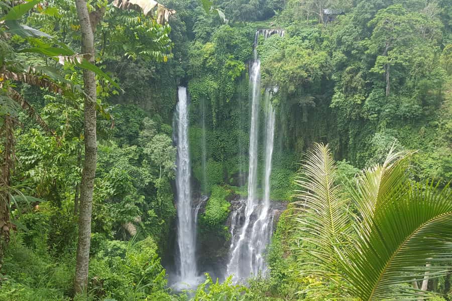 Private Sekumpul Waterfall Hiking Tour - The day begins with a private ride at 7:00