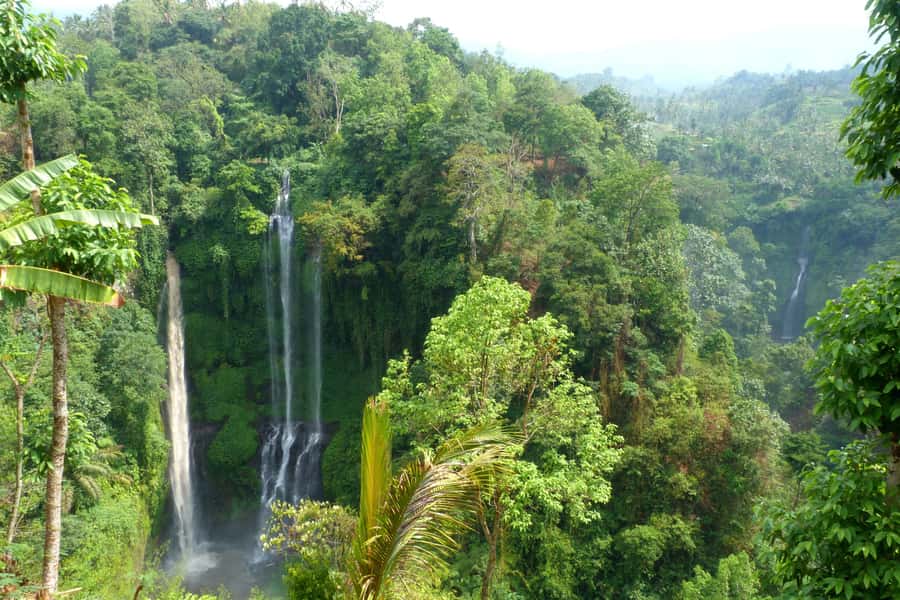Private Sekumpul Waterfall Hiking Tour - Why Sekumpul is the main event