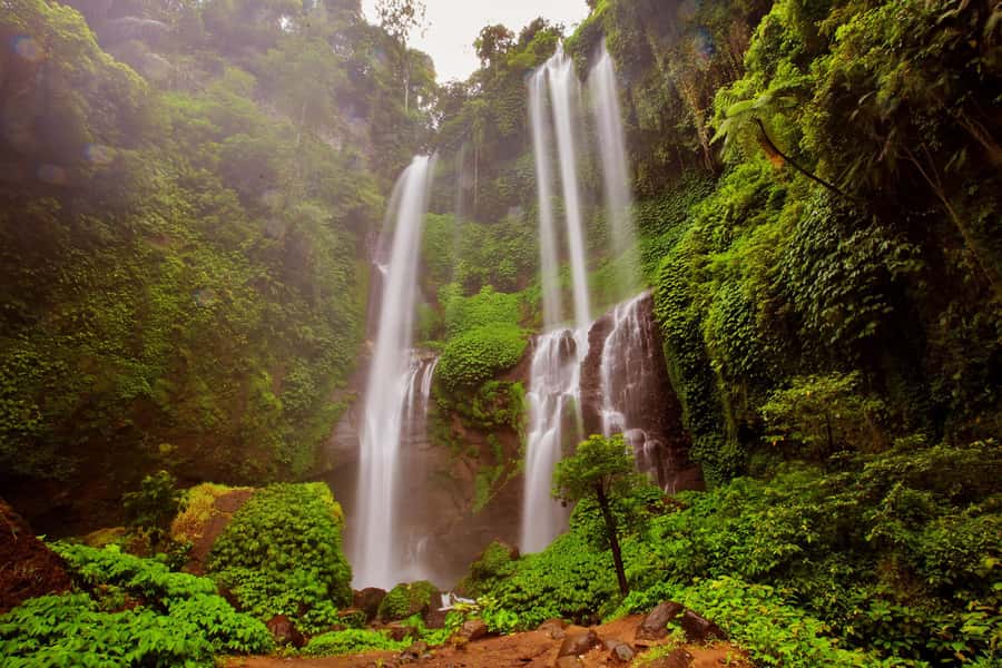 Private Sekumpul Waterfall Hiking Tour - Lunch at a local warung
