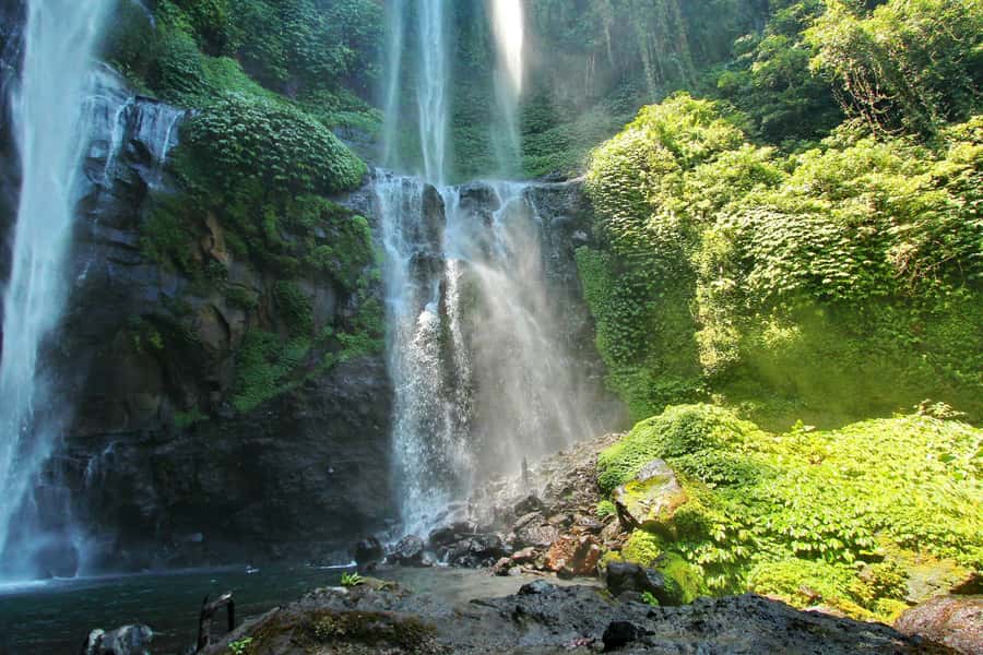 Private Sekumpul Waterfall Hiking Tour - What the $58 price gets you