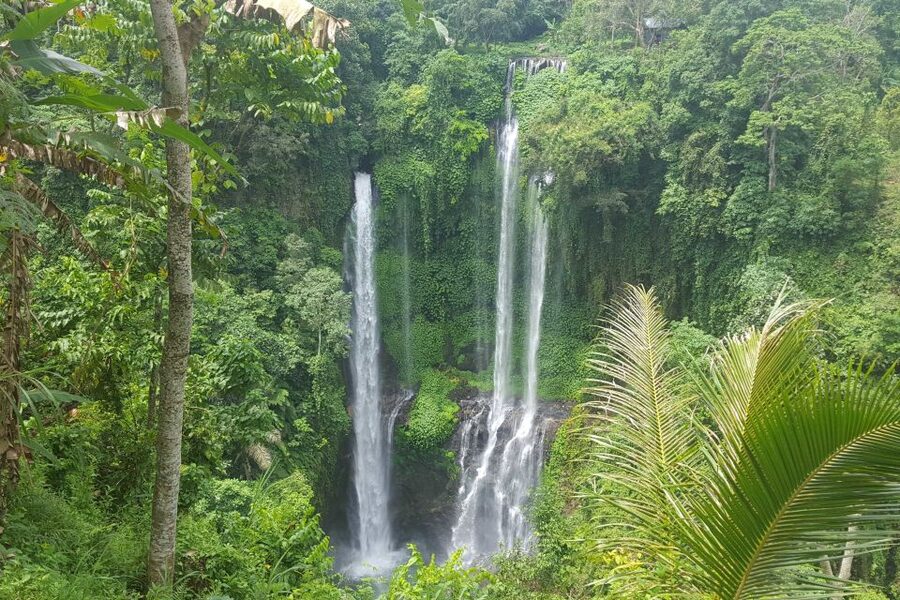 Private Sekumpul Waterfall Hiking Tour - Who should book this waterfall day?