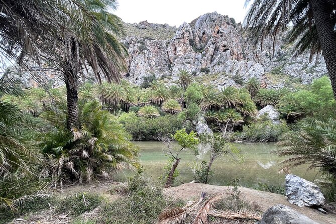 Private South Crete Full-Day Tour-Spili, Kourtaliotiko & Preveli - Kourtaliotiko Gorge: cliffs, vultures, and a waterfall option