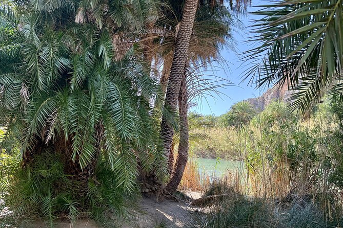 Private South Crete Full-Day Tour-Spili, Kourtaliotiko & Preveli - Preveli Palm Forest and the walk to the beach