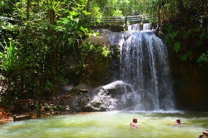 Private Suva Nature and Waterfall Tour - Choosing between the upper and lower pools